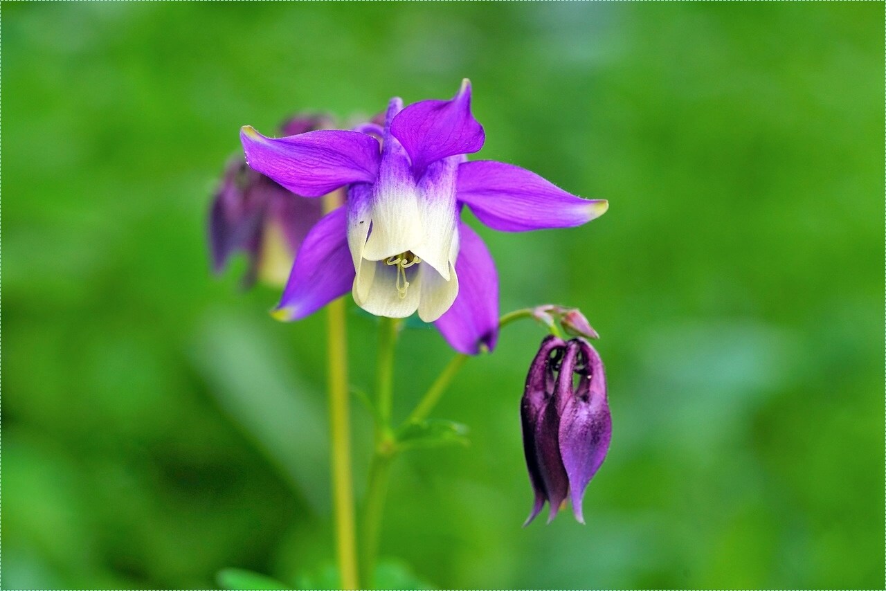 우체국 정기예금 금리