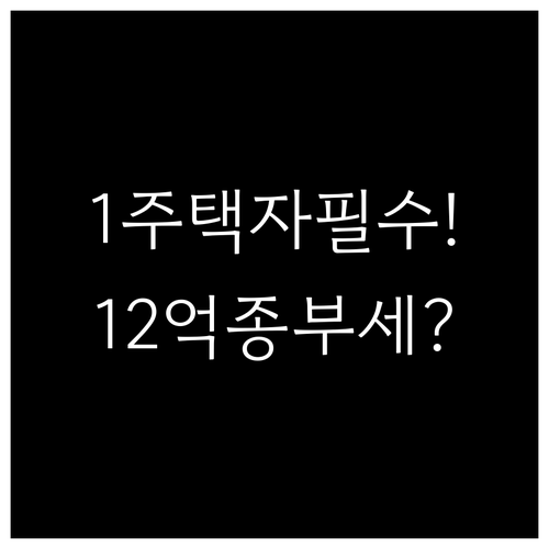 2026년 1주택자 종부세 기준 공시..
