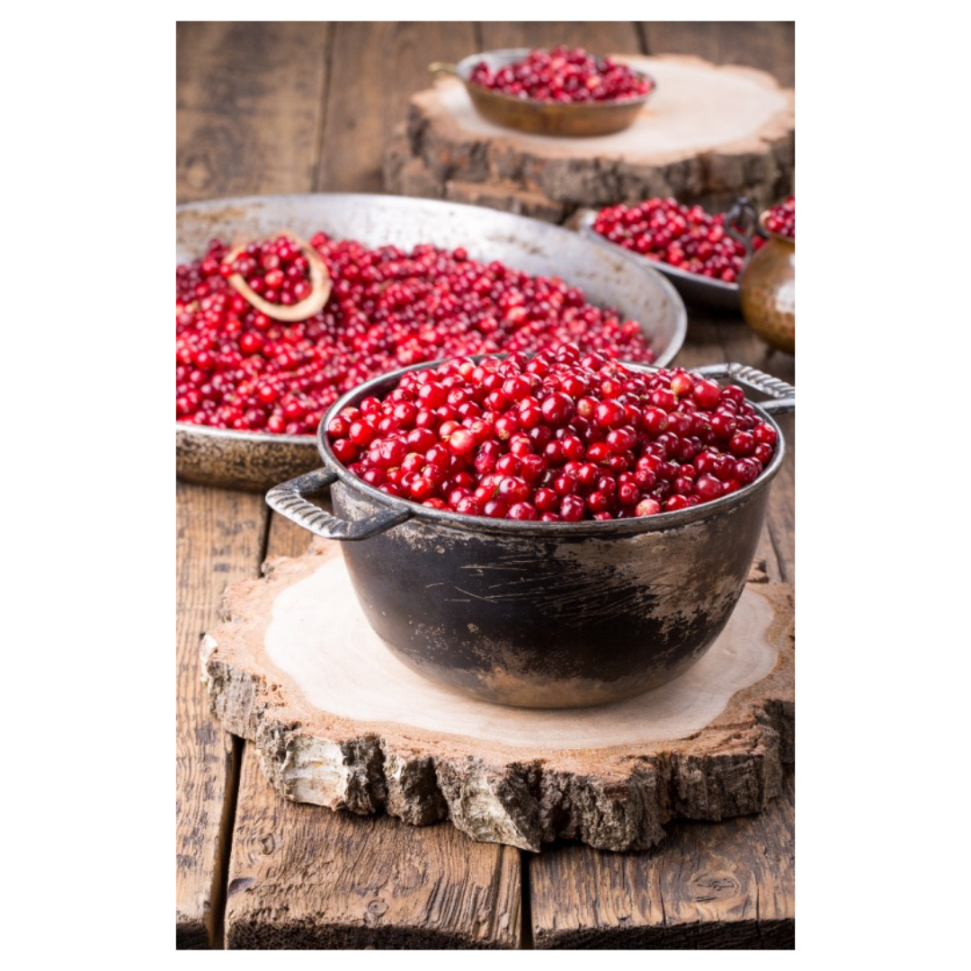 오미자청과 관련된 사진입니다.