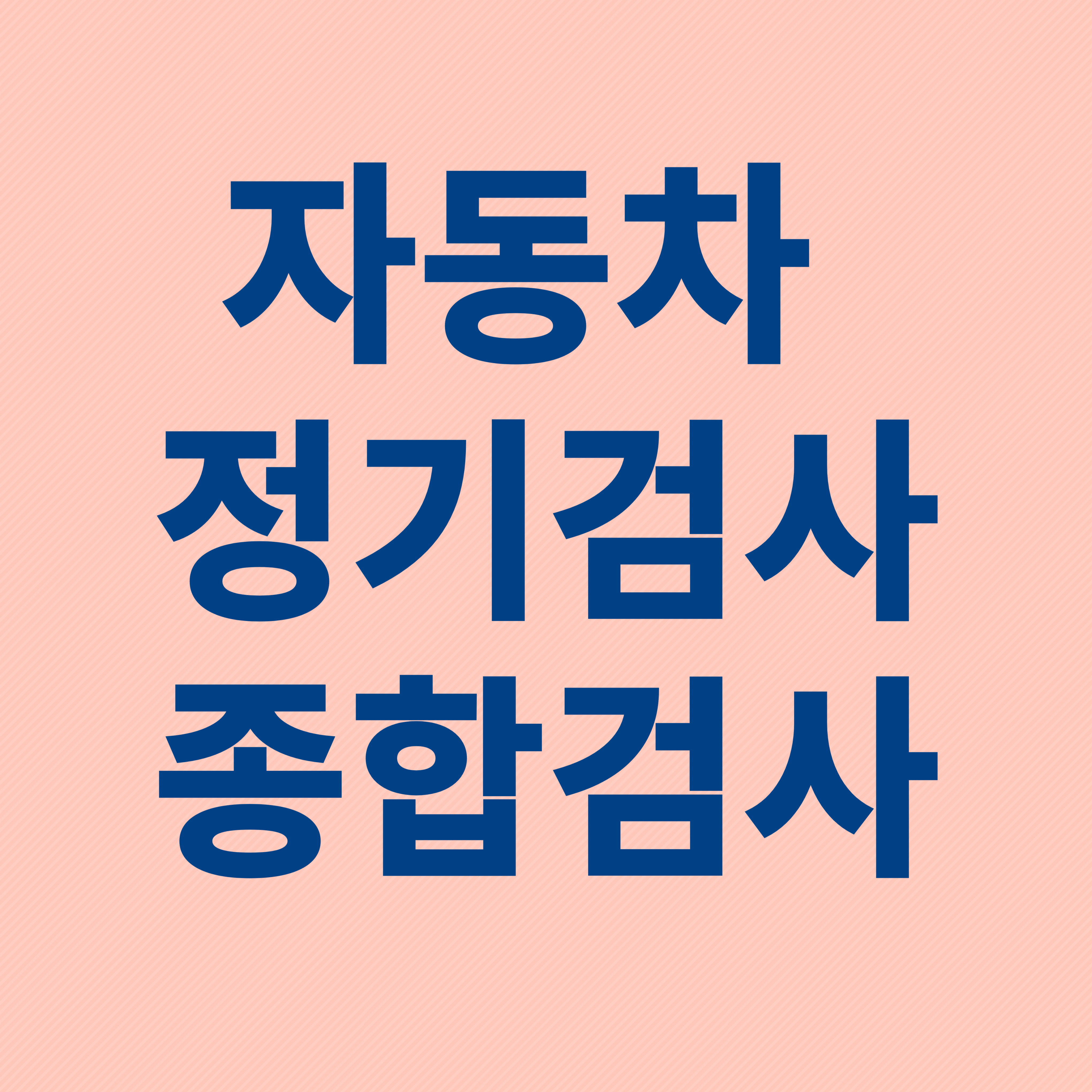 자동차 정기검사