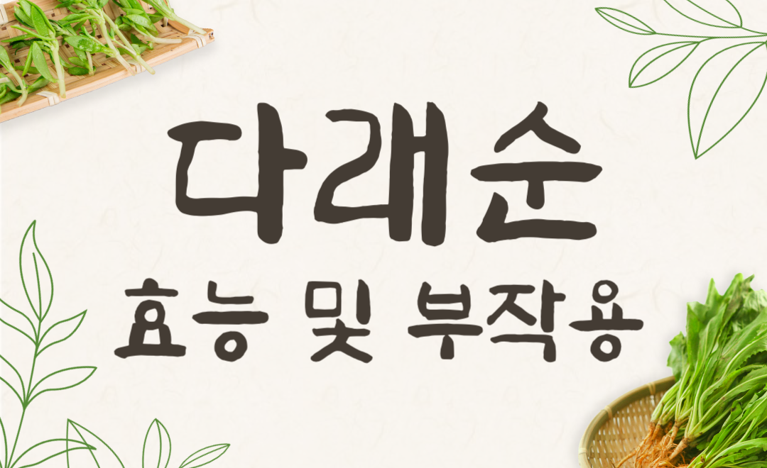 다래순 효능과 부작용, 다래순 나물로 건강 챙기는 법