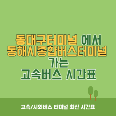 동대구터미널에서 동해시종합버스터미널 가는 고속버스 시간표 최신정보