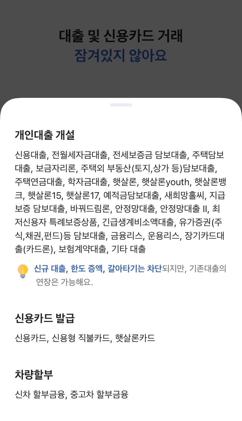 안심차단 대상내용