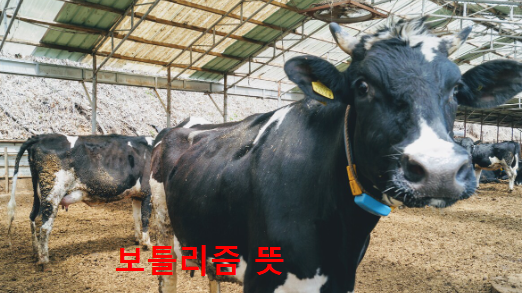 보툴리즘