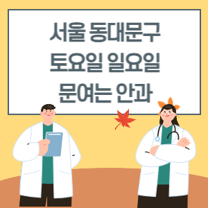 서울 동대문구 토요일 일요일 안과 진료 병원 리스트