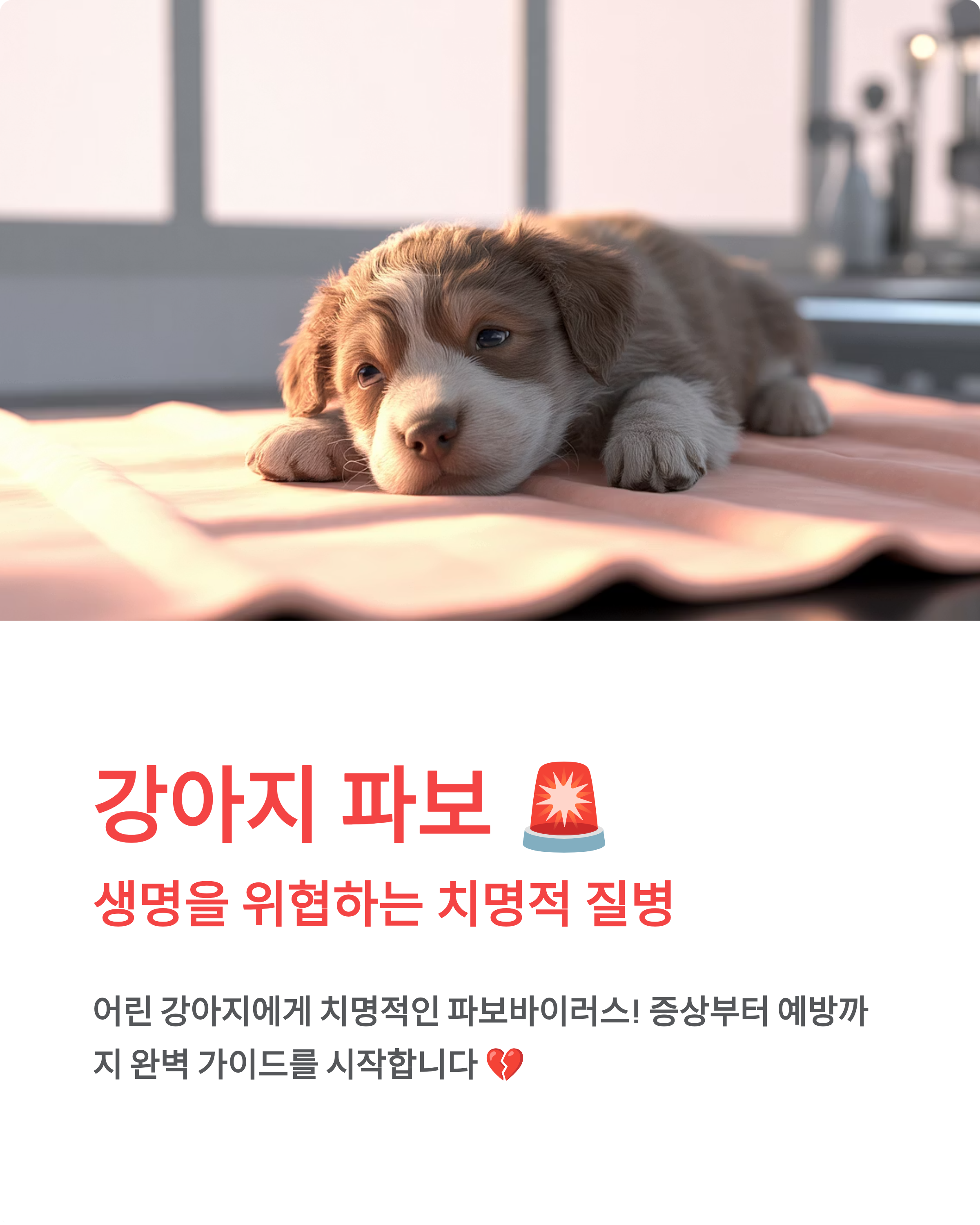 강아지 파보 🚨 증상·치료·예방접종 완벽 가이드!