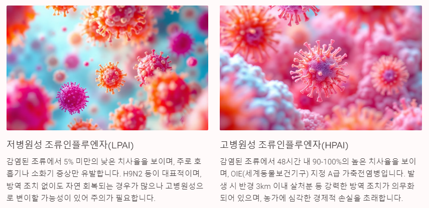 병원성에 따른 분류