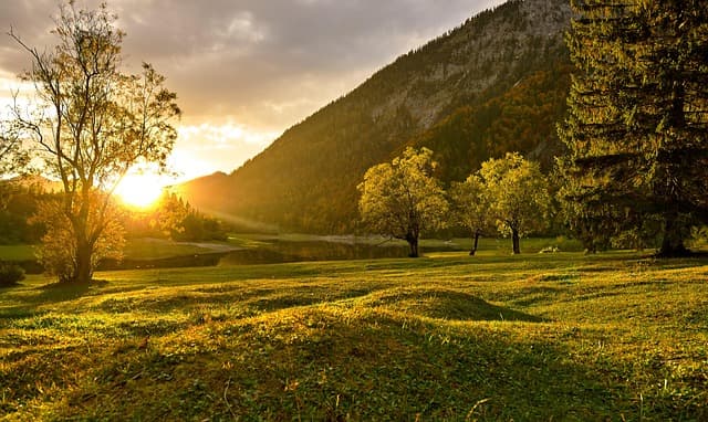 경호학과 경호 (05. 경호의 이론적 배경)