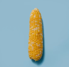 백내장에 좋은 음식 영양제 식단