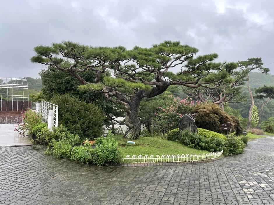 그림같은수목원