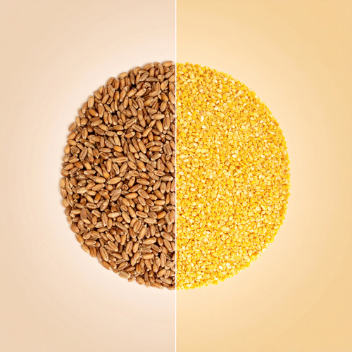 마그네슘, 아연, 셀레늄 등 미네랄 풍부