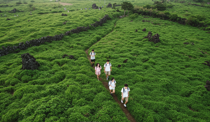 여행중인 청년들