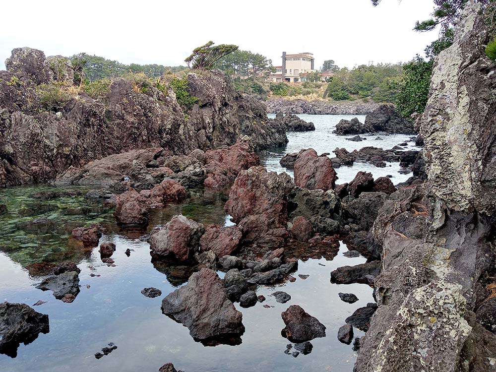 올레6코스: 소천지