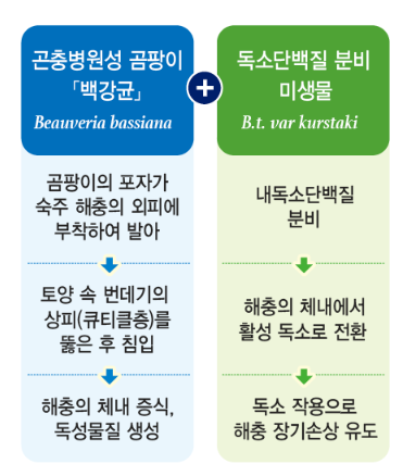 대유 총진싹 효능 및 살포 방법(유기농업자재)