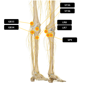무릎 주변 혈자리 요약