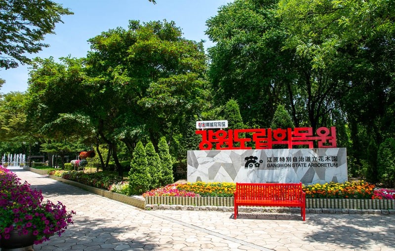 춘천 강원도립화목원(산림박물관) 완벽 가이드: 1,000원으로 즐기는 최고의 가족 힐링 여행