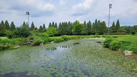 골프장 경험담 이천 더반cc 가성비 좋은 퍼블릭 + 연습 라운드 또는 입문자 연습장 느낌으로 활용 가능