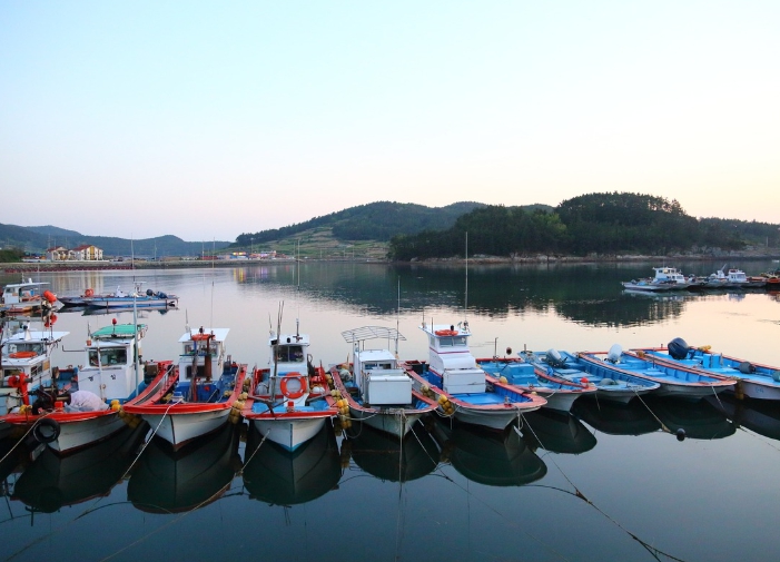 완도바다