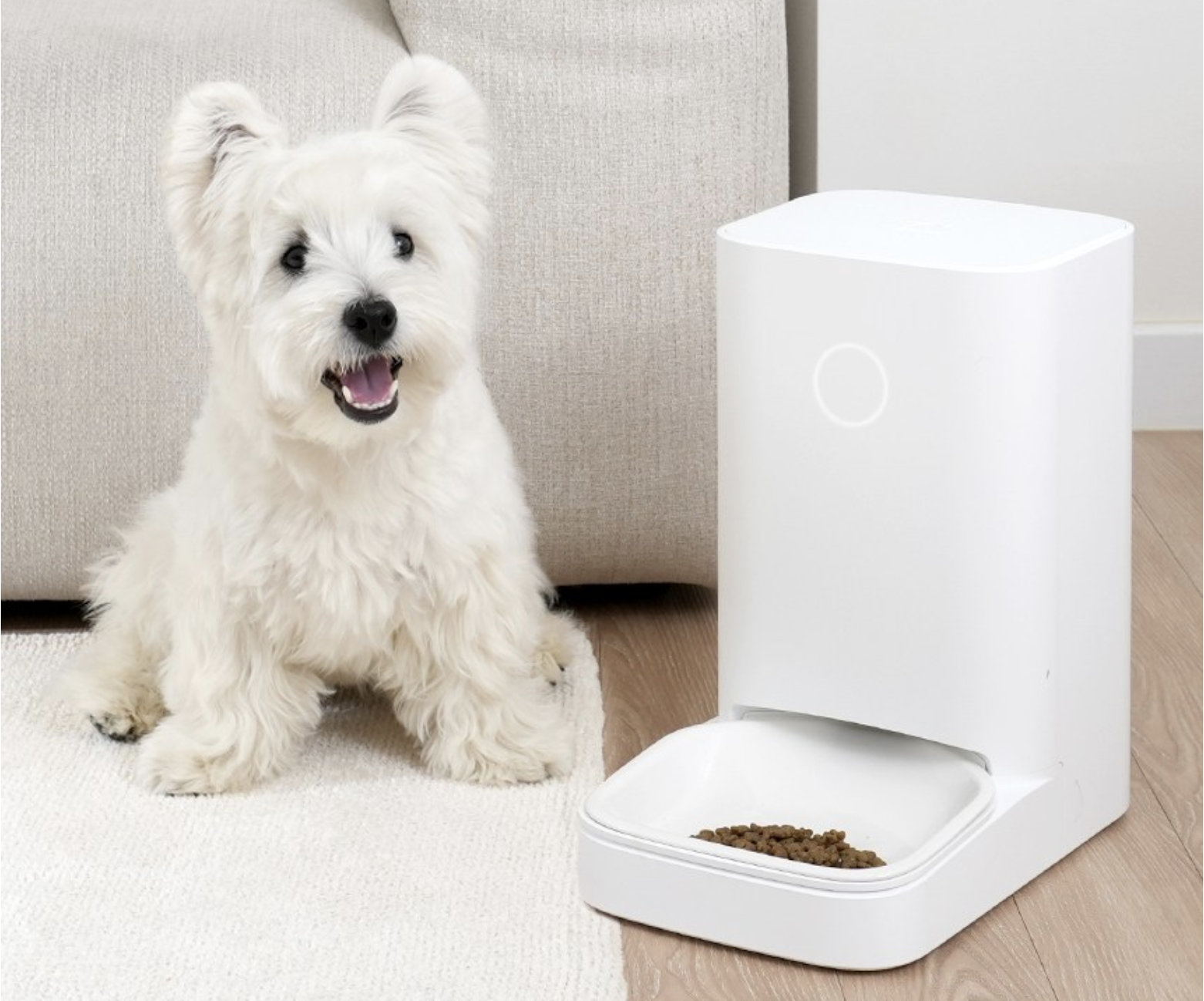 강아지, 고양이 반려동물 스마트 자동급식기 비교 추천 top3 (wifi 연동 포함) 관련 사진