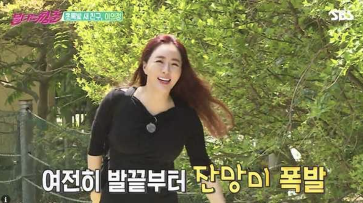 이의정 예능