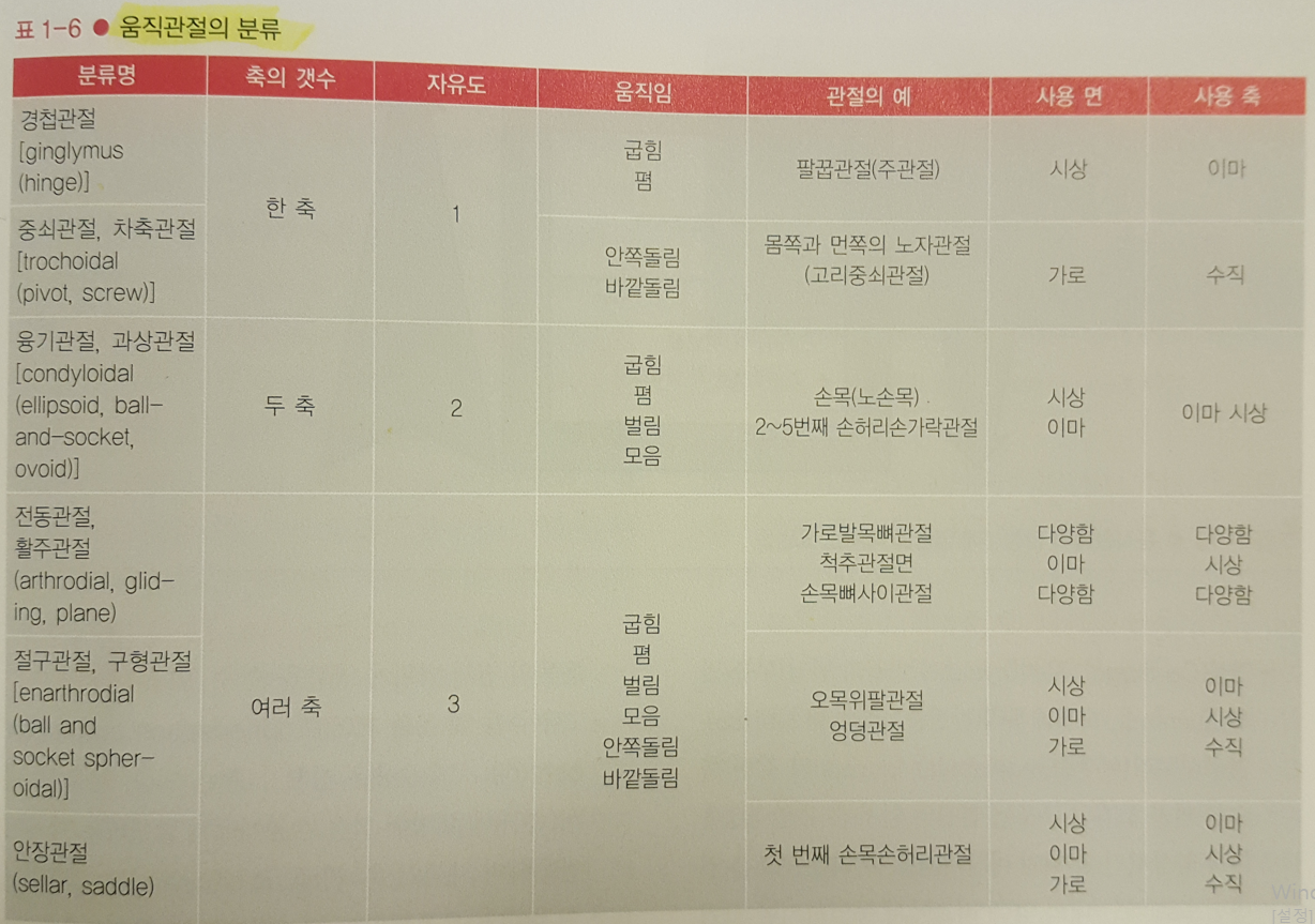 움직관절-분류표-사진