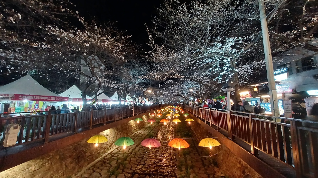 여좌천 벚꽃5