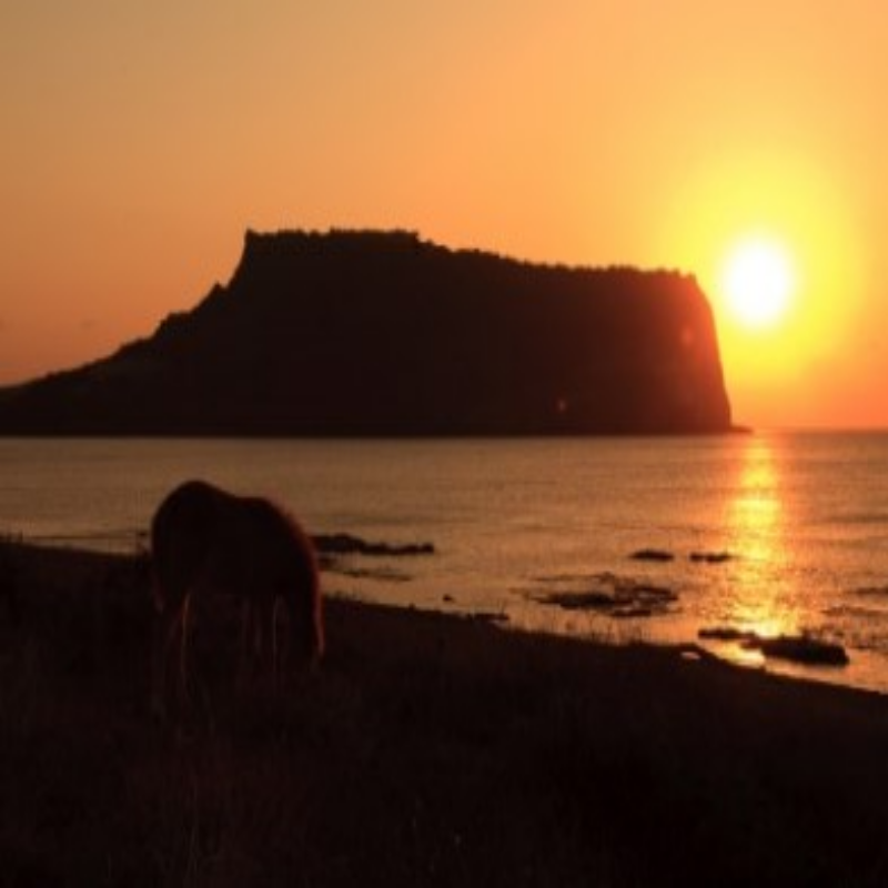 새해 해돋이 명소 행사 일정 확인 제주도 성산일출봉