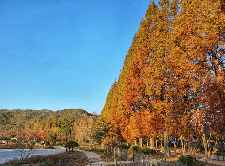 경북천년숲정원