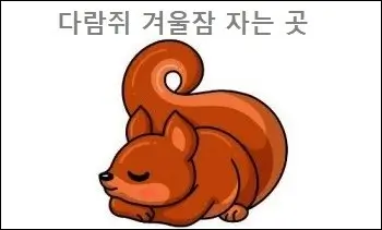 다람쥐 겨울잠 자는 곳