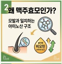 맥주효모의 효능