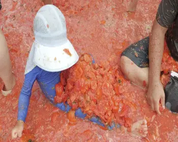 화천 토마토축제_24