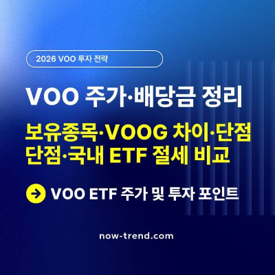 VOO 주가 및 배당금 보유종목·VOOG 차이·단점·국내 상장 ETF 비교 썸네일