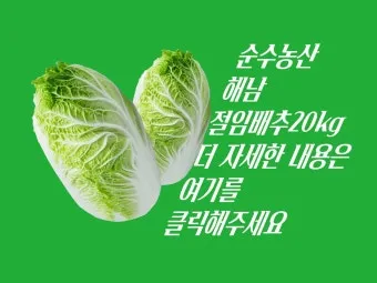 김장 배추 재배 파종 모종 웃거름 결구 수확 타이밍_21