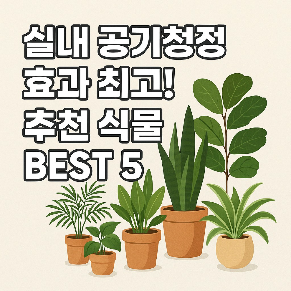 실내 공기청정 식물