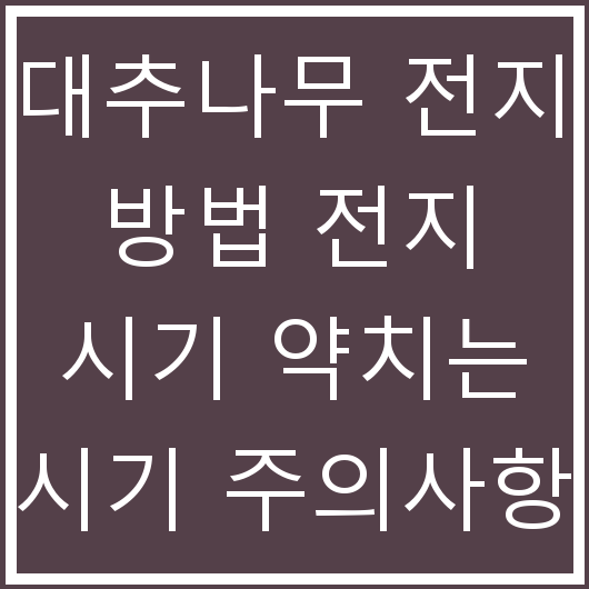 대추나무 전지 방법 전지 시기 약치는 시기 주의사항 정리