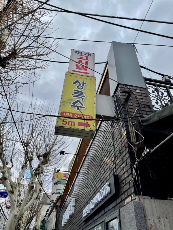 상록수