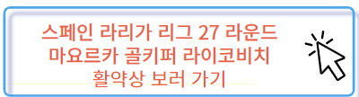 스페인 라리가 마요르카 골키퍼 라이코비치 활약상 보러 가기