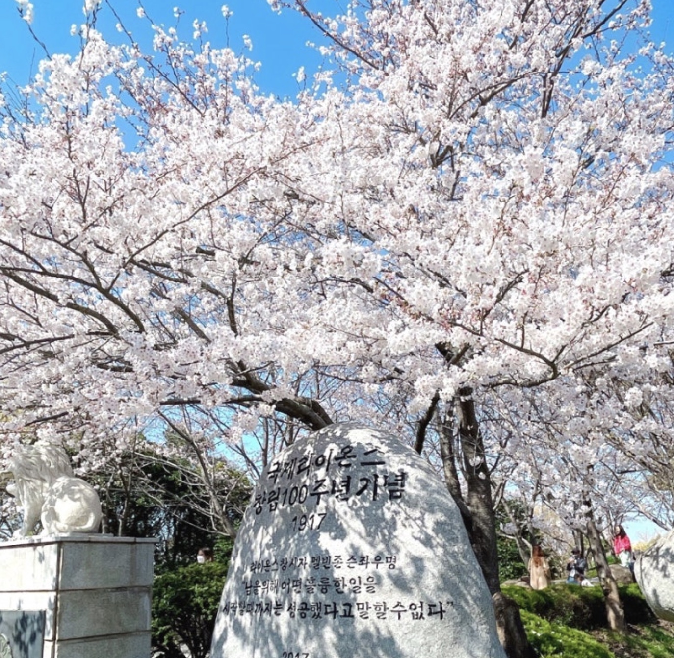2025 목포 유달산 봄축제 필수 방문 꿀팁