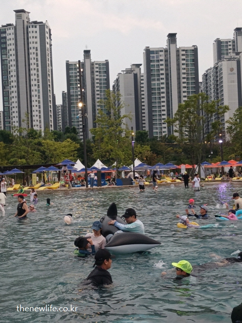 잠실 한강공원 물놀이장에서 돌고래 튜브를 타고 아이들과 함께 물놀이를 하는 부모들의 모습