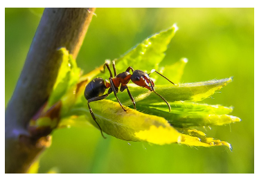 곤충과 가까워진 아이의 마음 성장기