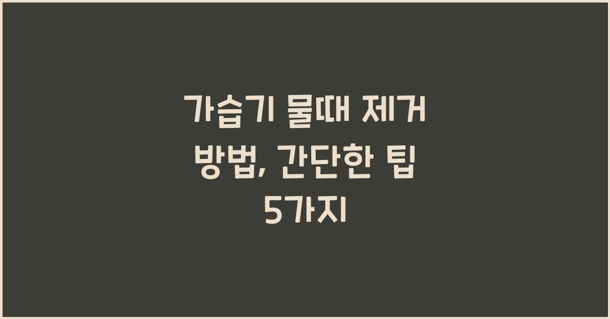 가습기 물때 제거 방법