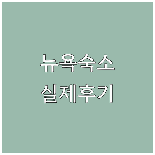 뉴욕 자유여행 숙소 추천 위치별 장단..