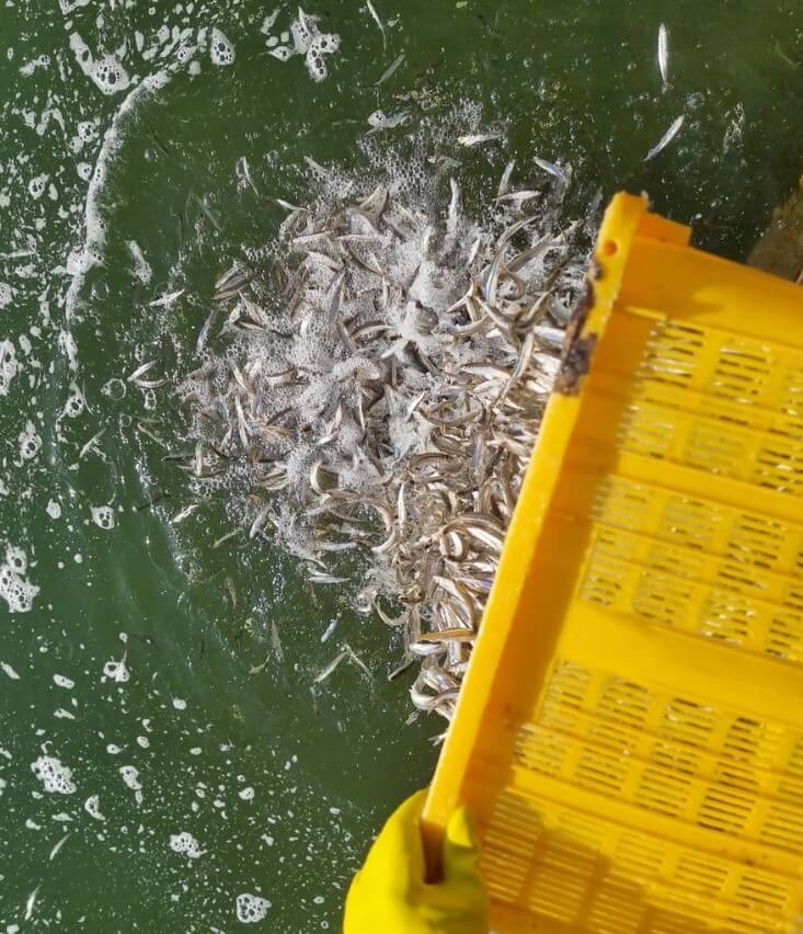 강화 양오낚시터 빙어축제 기본정보&amp;#44; 양오낚시터는 공기도 맑고 경치도 좋고 가족들과 함께 휴양을 즐길 수 있는 낚시터입니다.