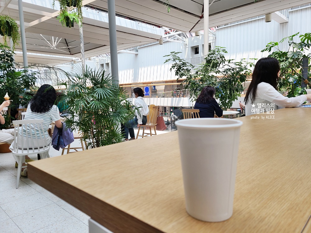 예쁜 백화점, 더 현대 서울, 카페 H라운지 무료 음료 쿠폰 + 추가 포인트 받는 방법