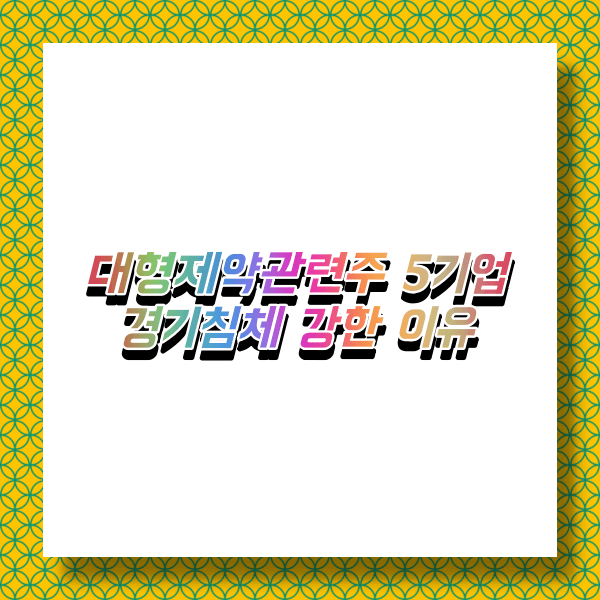 미국대형제약관련주 베스트5