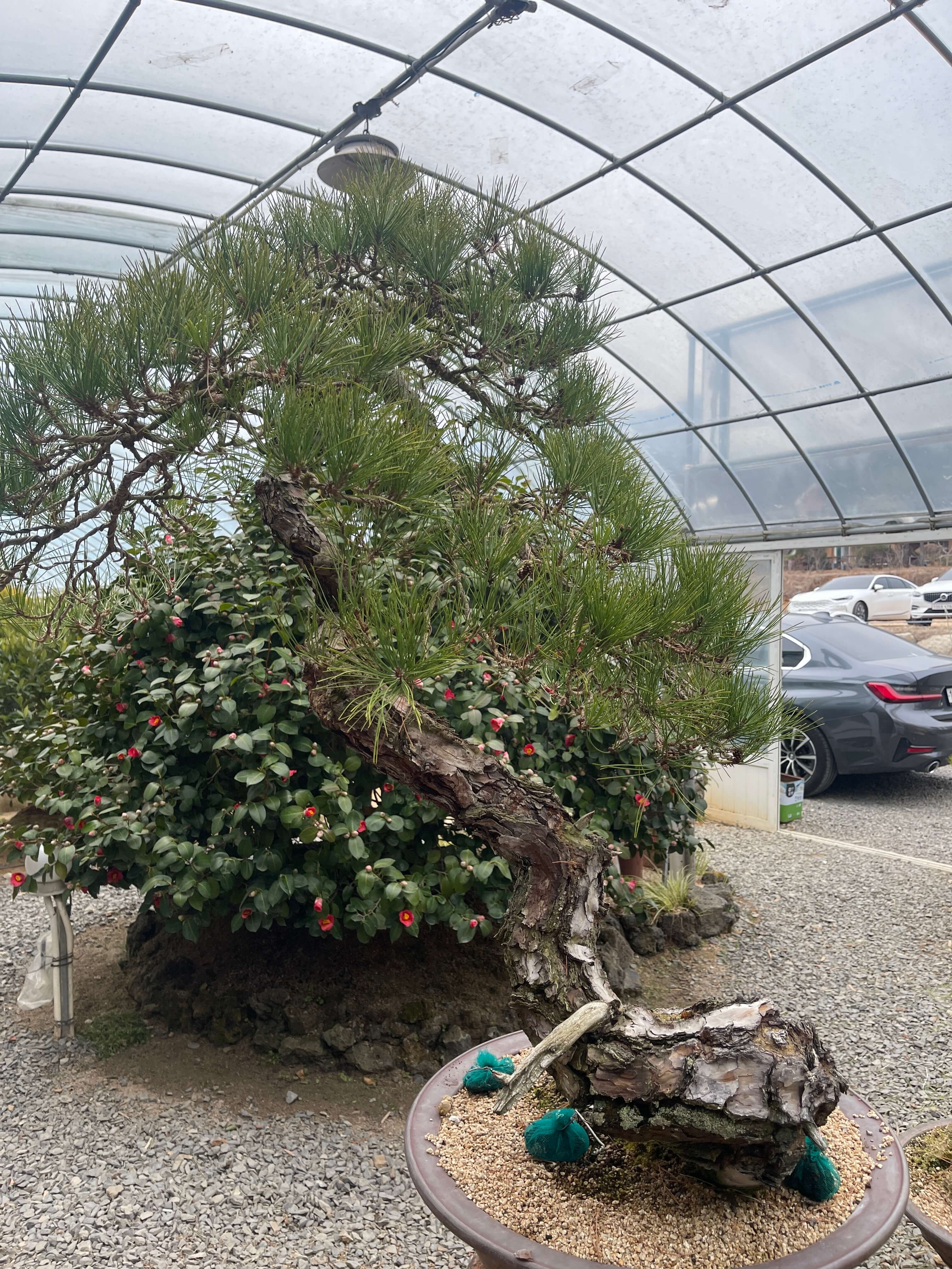 청도 가창 맛집 그곳에 가고싶다.