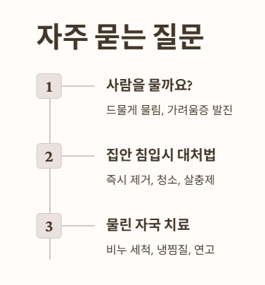 자주 묻는 질문 (FAQ)