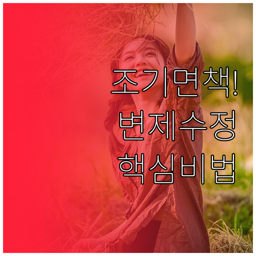 개인회생 조기 면책을 위한 변제 계획..