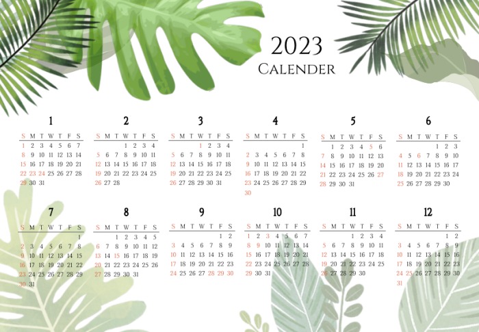 2023년 12개월 보태니컬 느낌 달력