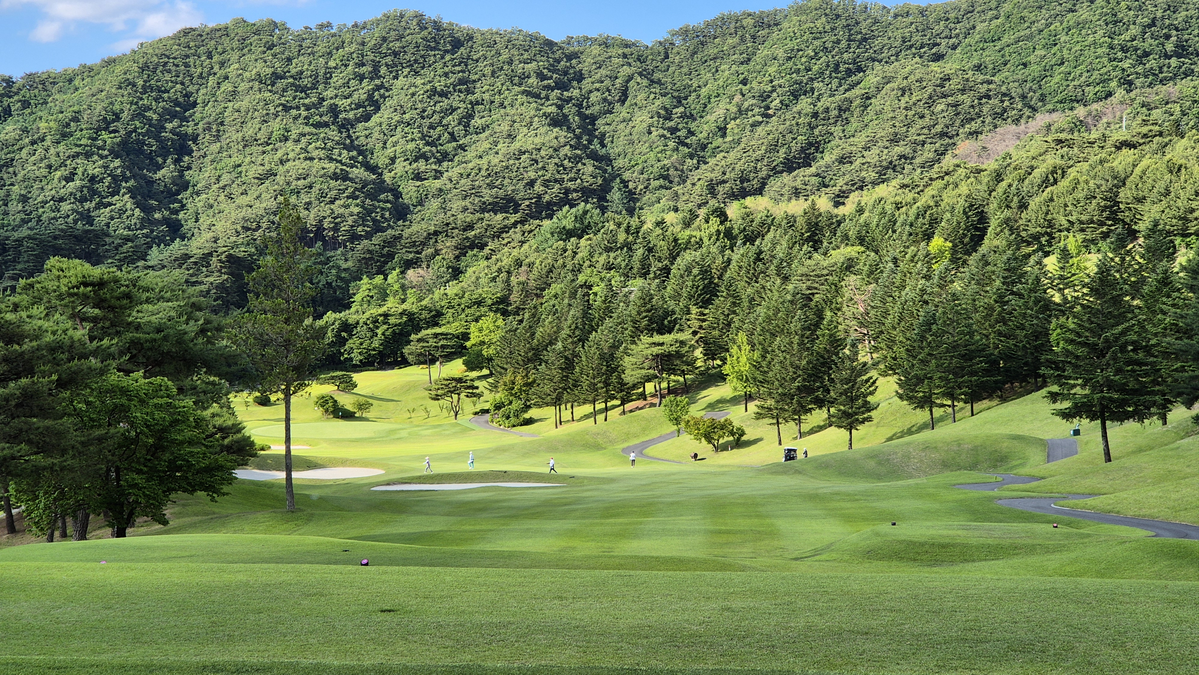 파크밸리gc